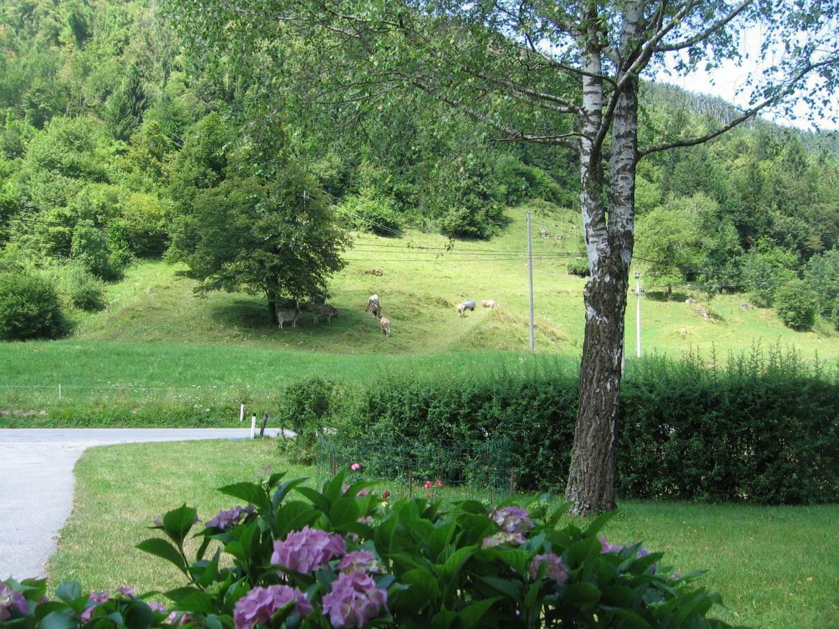 Vrata Pri Cepovanu Villa Exteriör bild