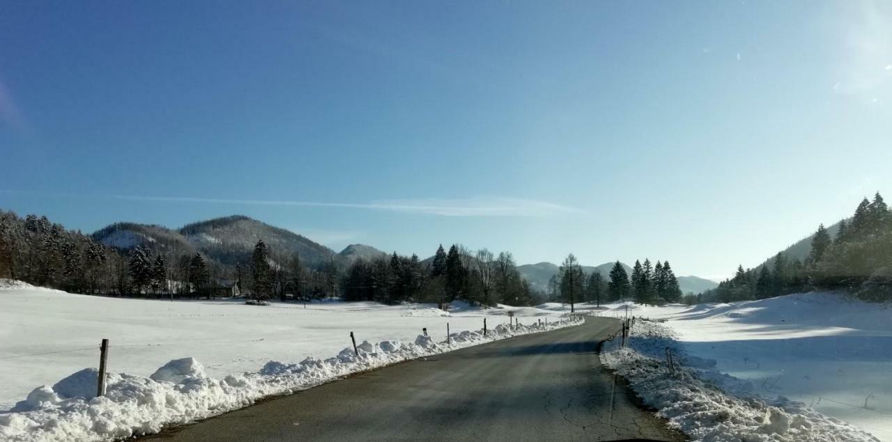 Vrata Pri Cepovanu Villa Exteriör bild
