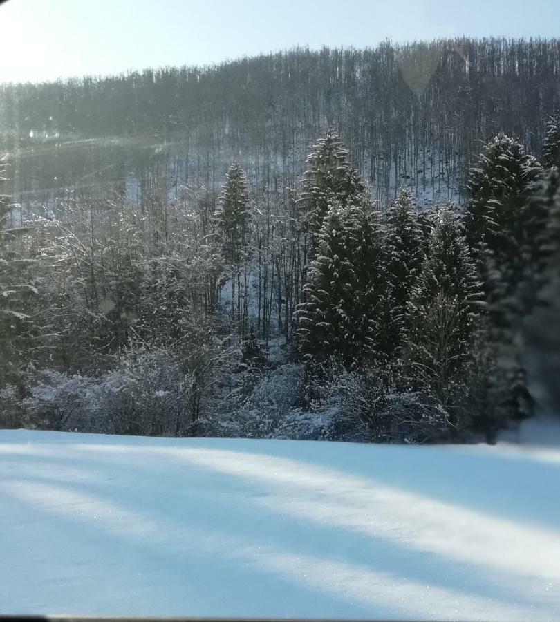 Vrata Pri Cepovanu Villa Exteriör bild