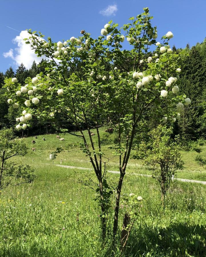 Vrata Pri Cepovanu Villa Exteriör bild